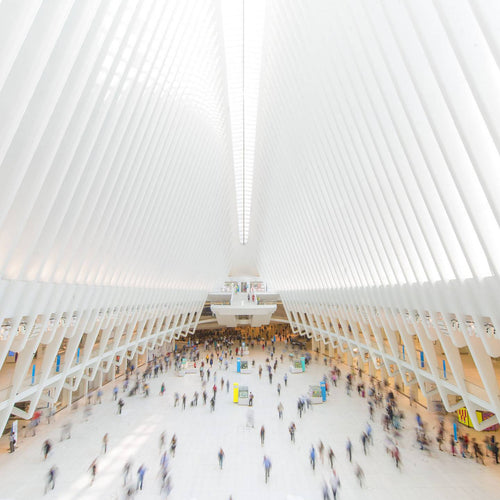 The oculus
Westfield World Trade Center