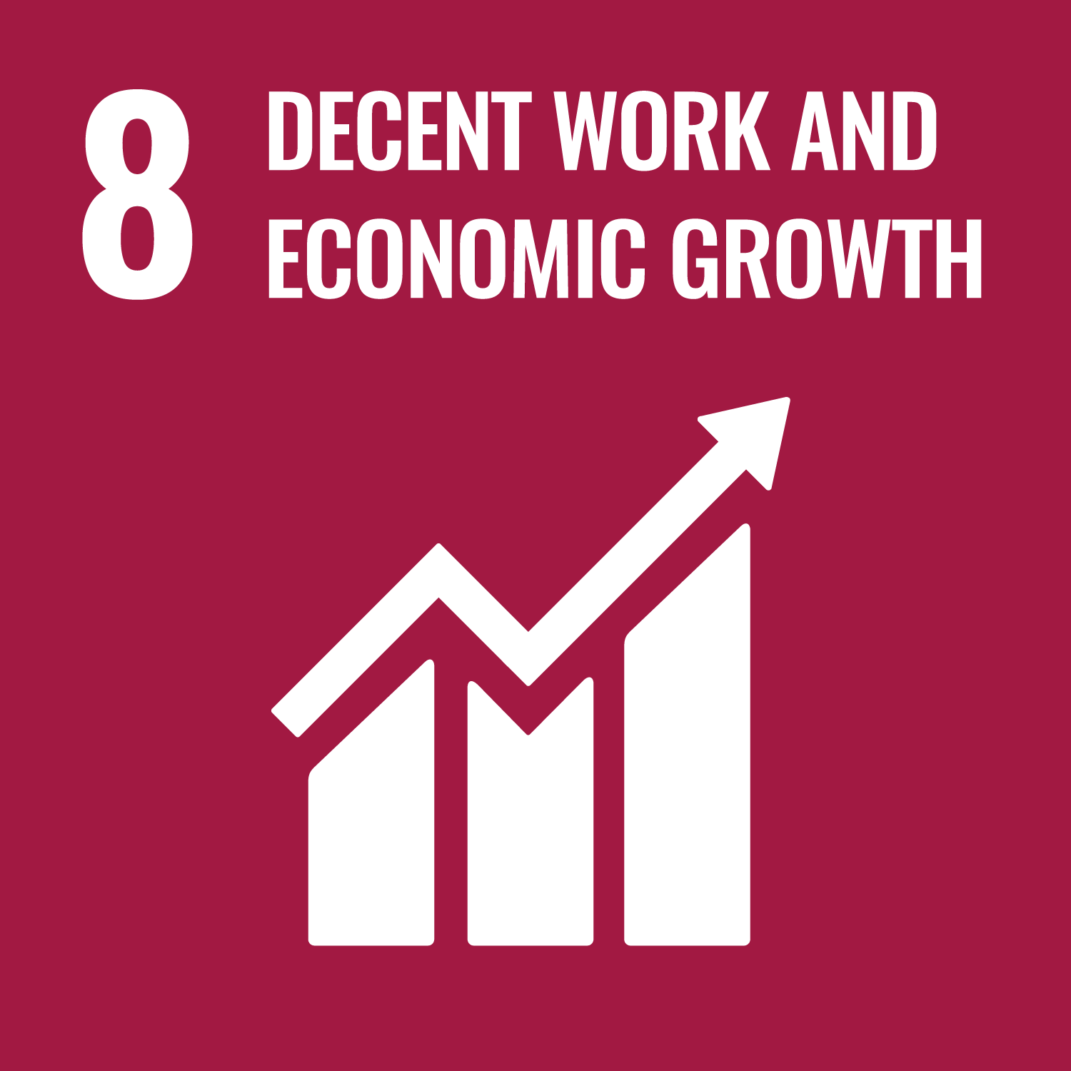 Goal 8: <span>Decent work and Economic Growth</span>