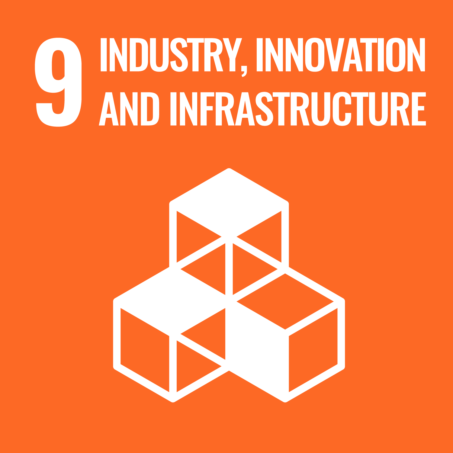 Goal 9: <span>Industry, Innovation and Infrastructure</span>