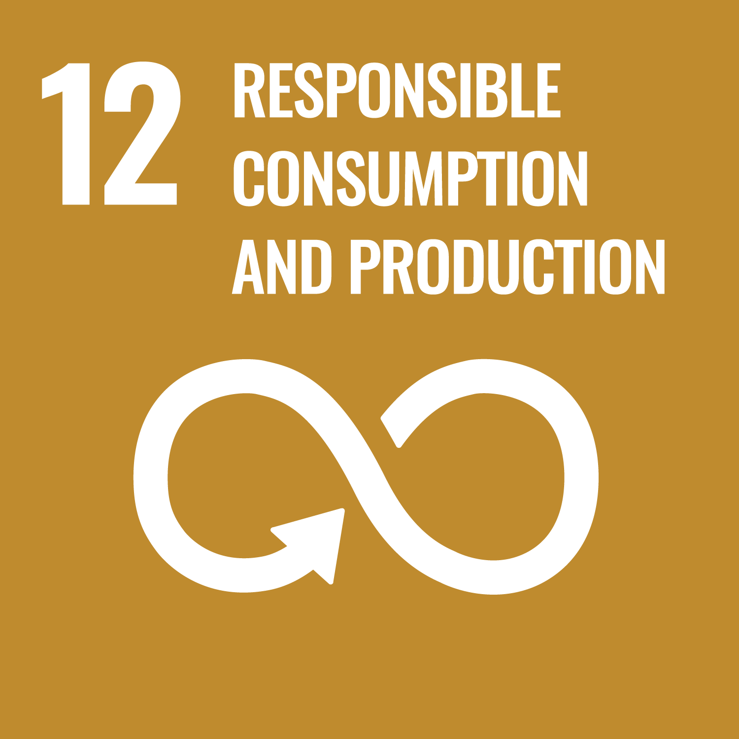 Goal 12: <span>Responsible Consumption and Production</span>