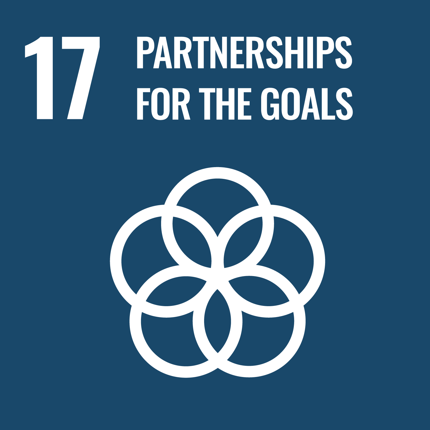 Goal 17:<span>Partnerships for The Goals</span>