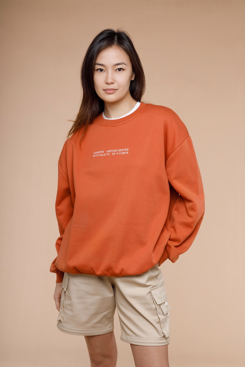 Charyn Coordinates Sweatshirt