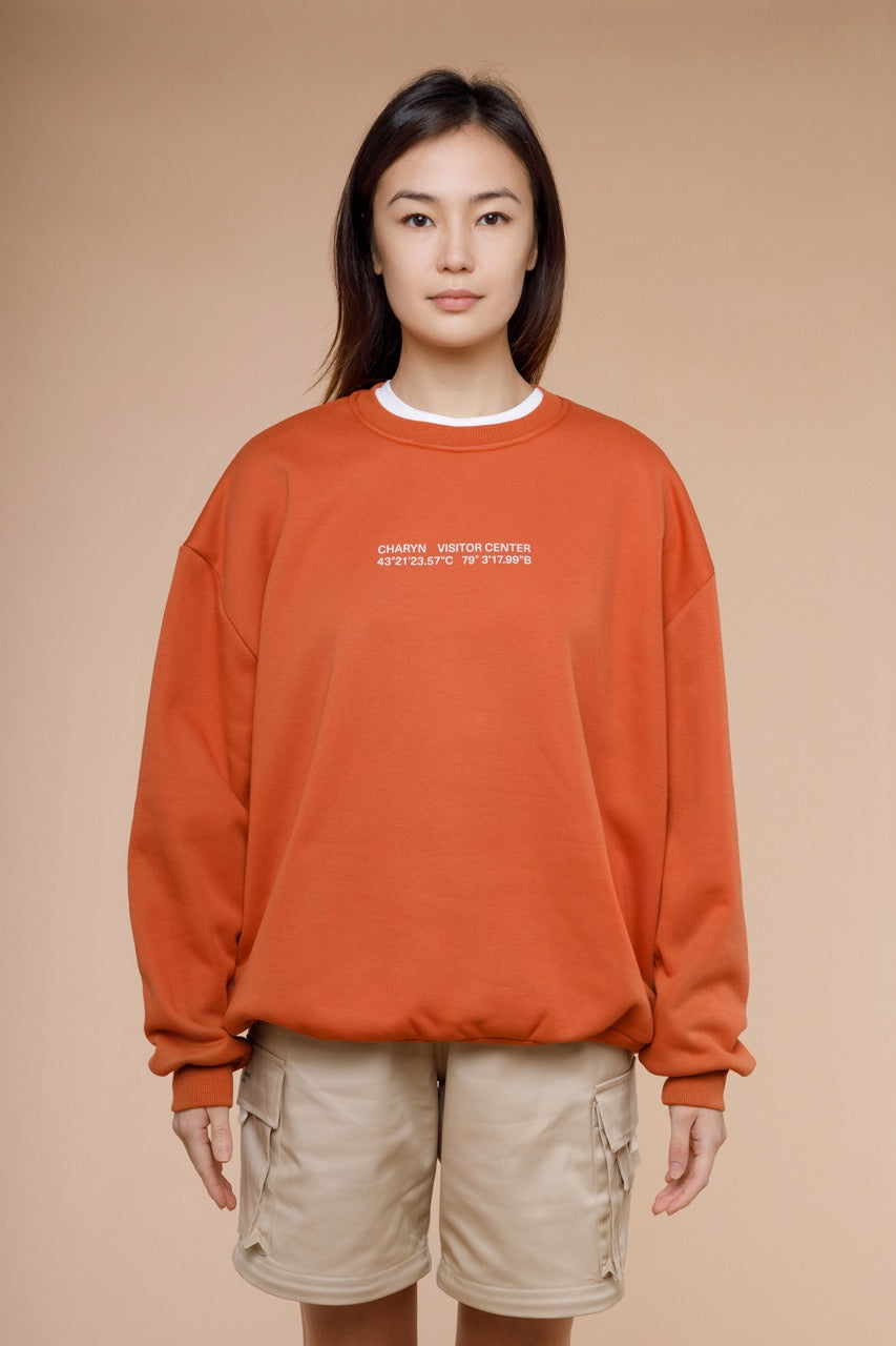 Charyn Coordinates Sweatshirt