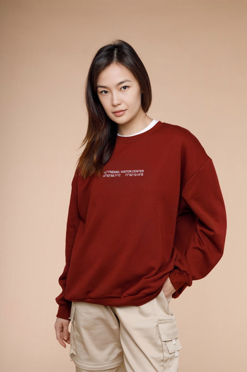 Altyn-Emel Coordinates Sweatshirt