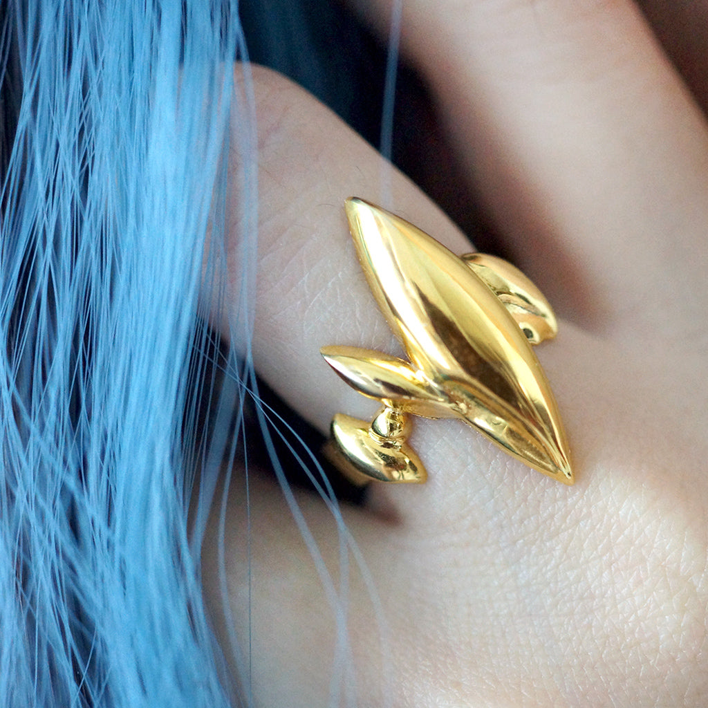 CHAOS Ring