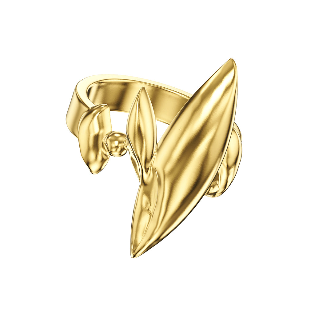CHAOS Ring