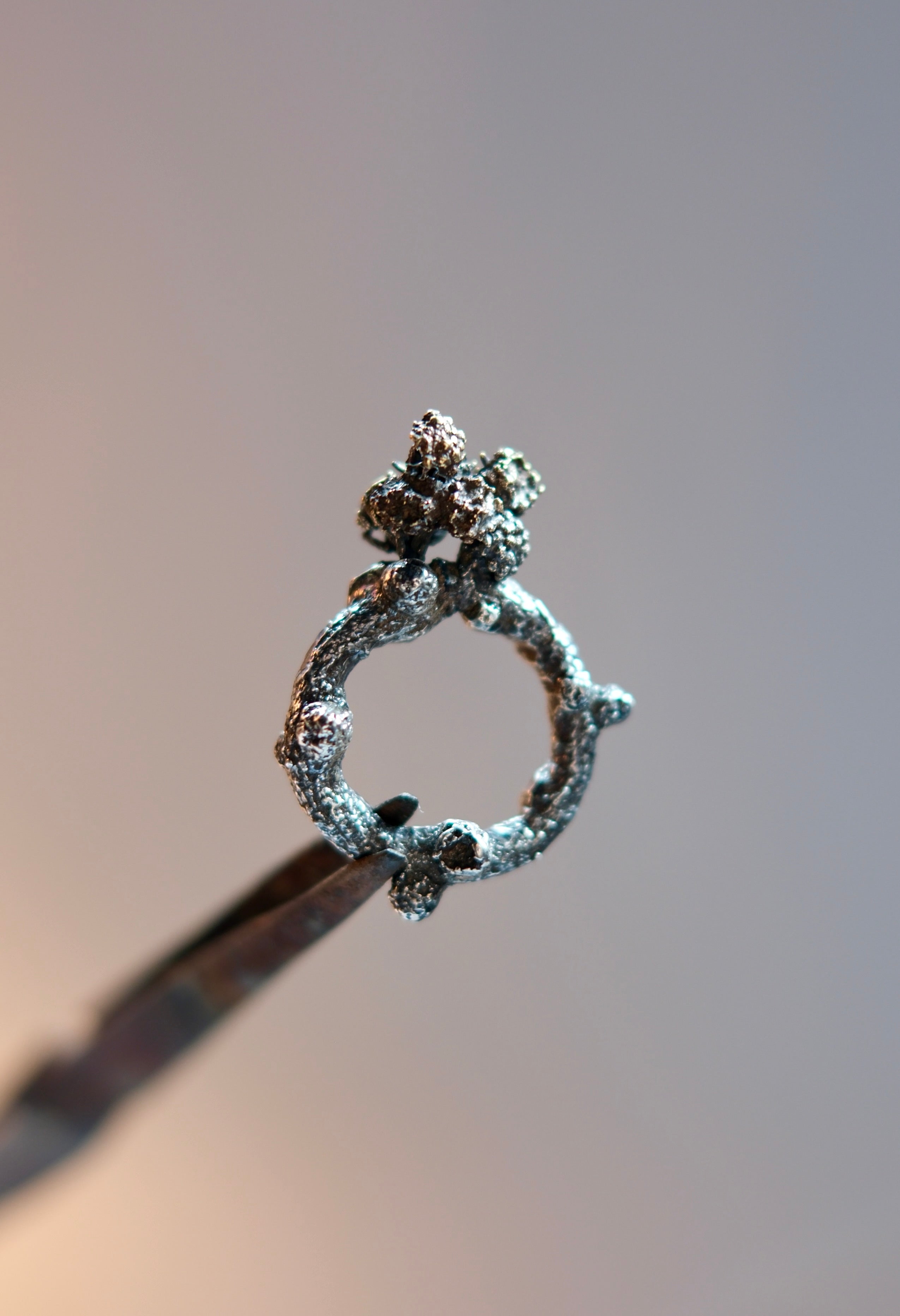Sculptural Silver Ring with Flowers