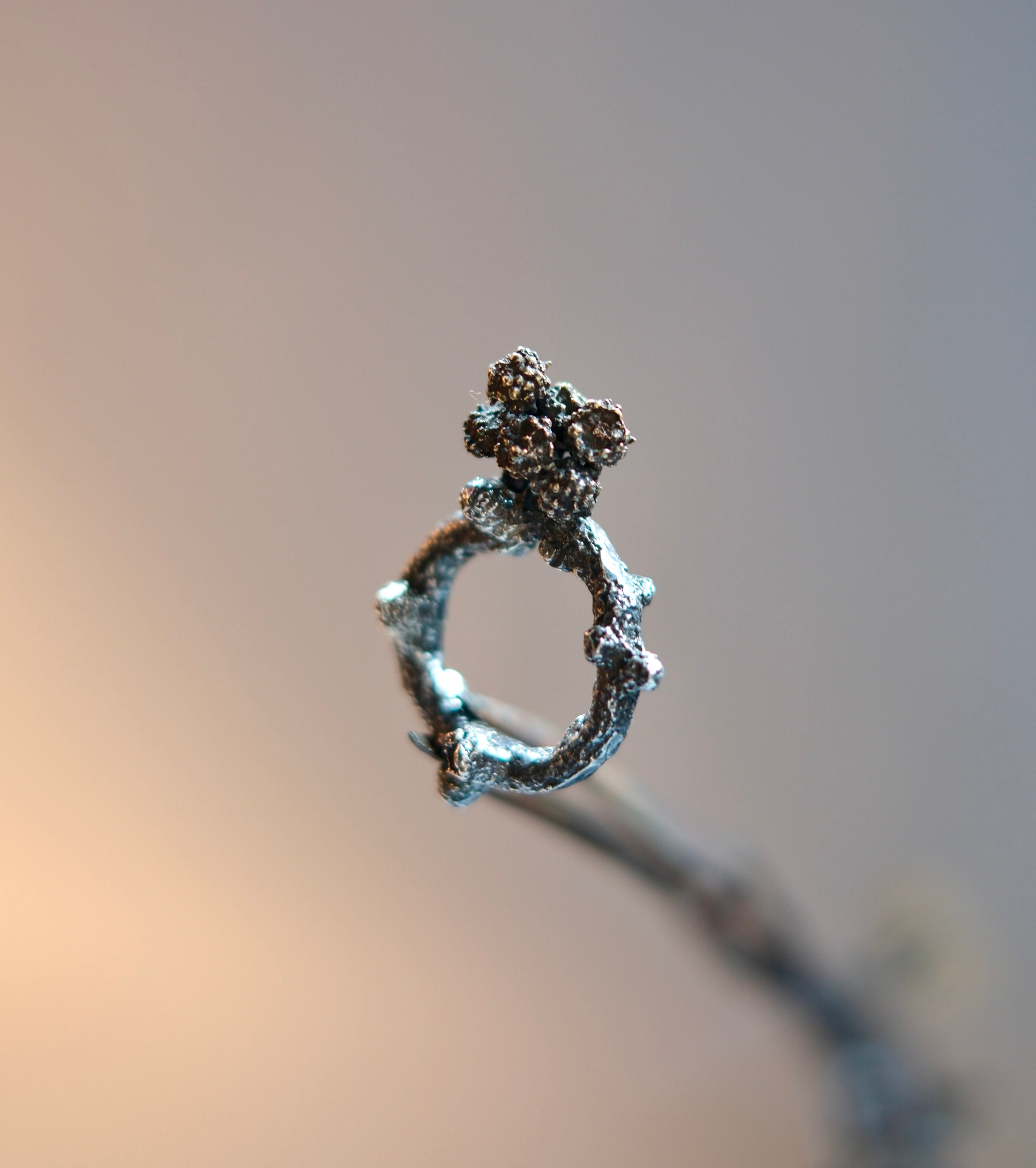Sculptural Silver Ring with Flowers