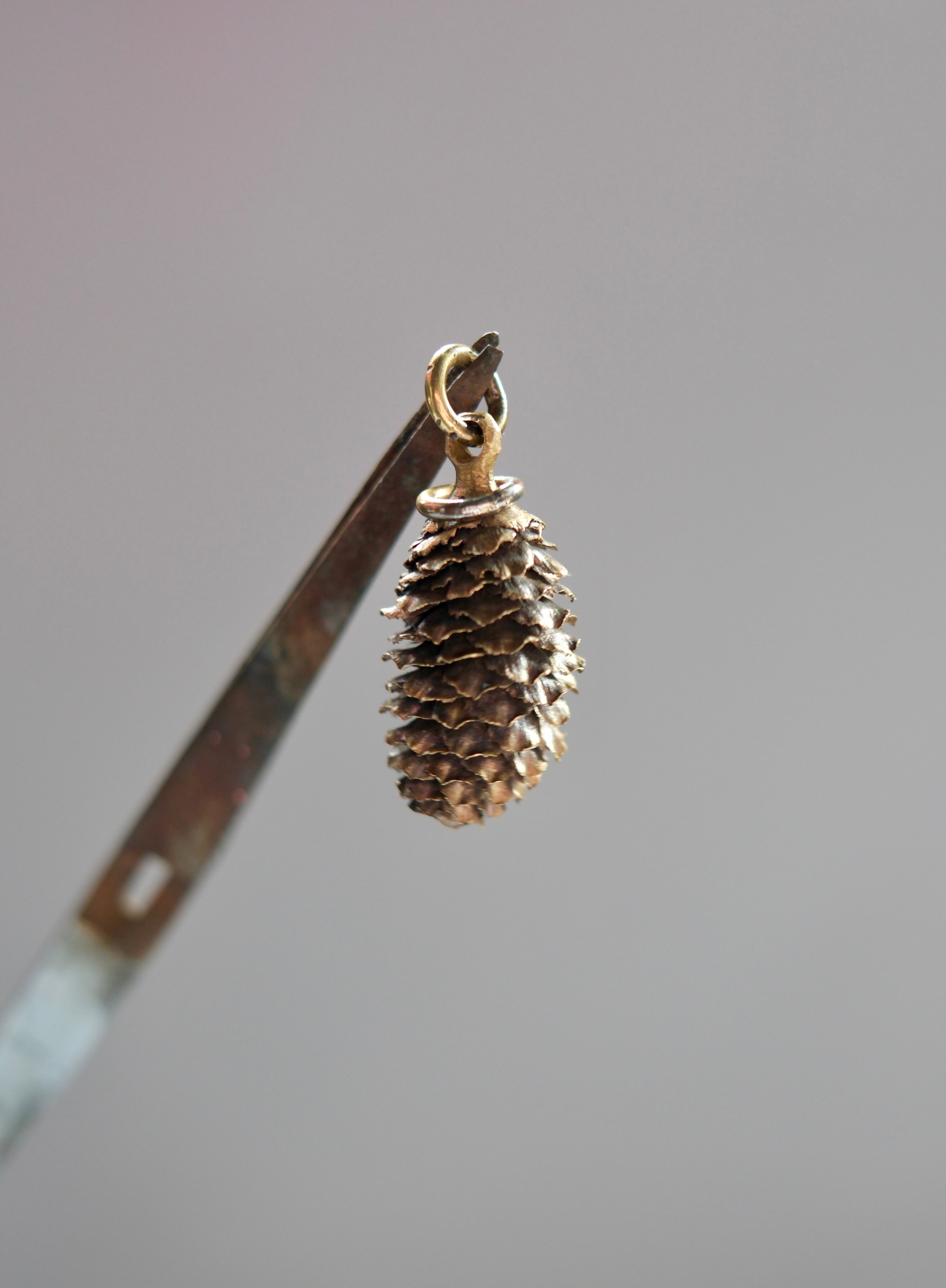 Pine Cone in Brass (big)