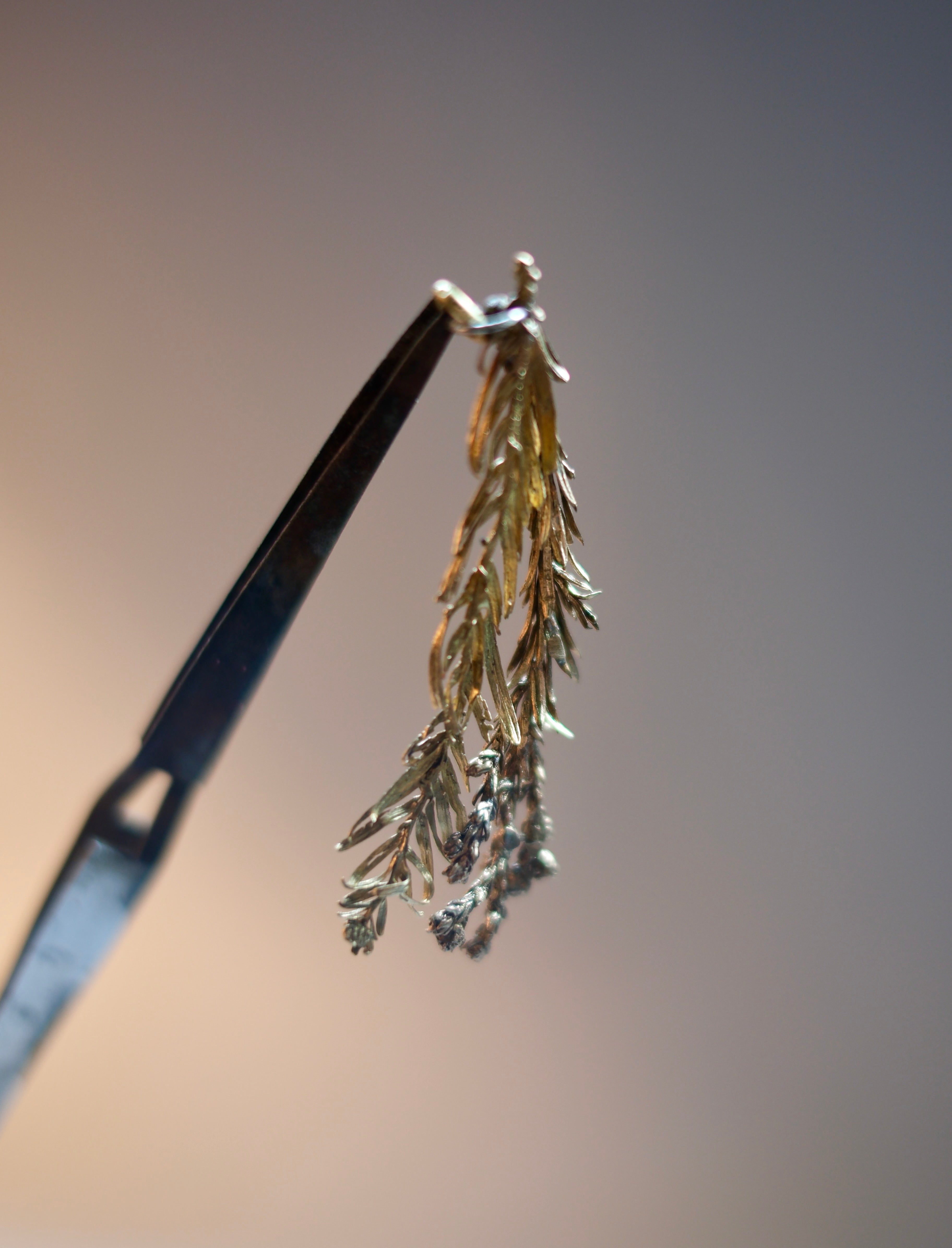 Pine Branches Brooch