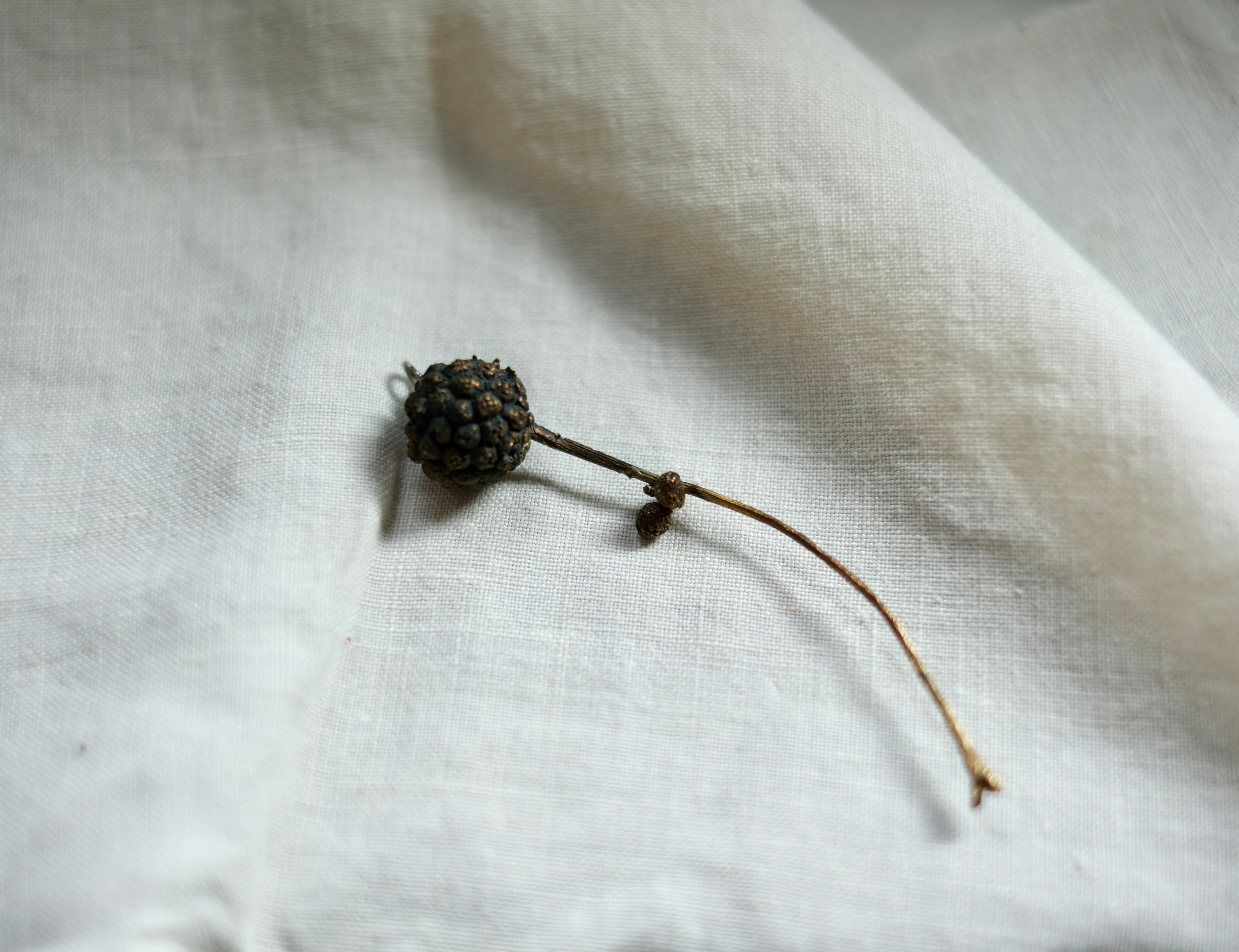 Dandelion Brooch