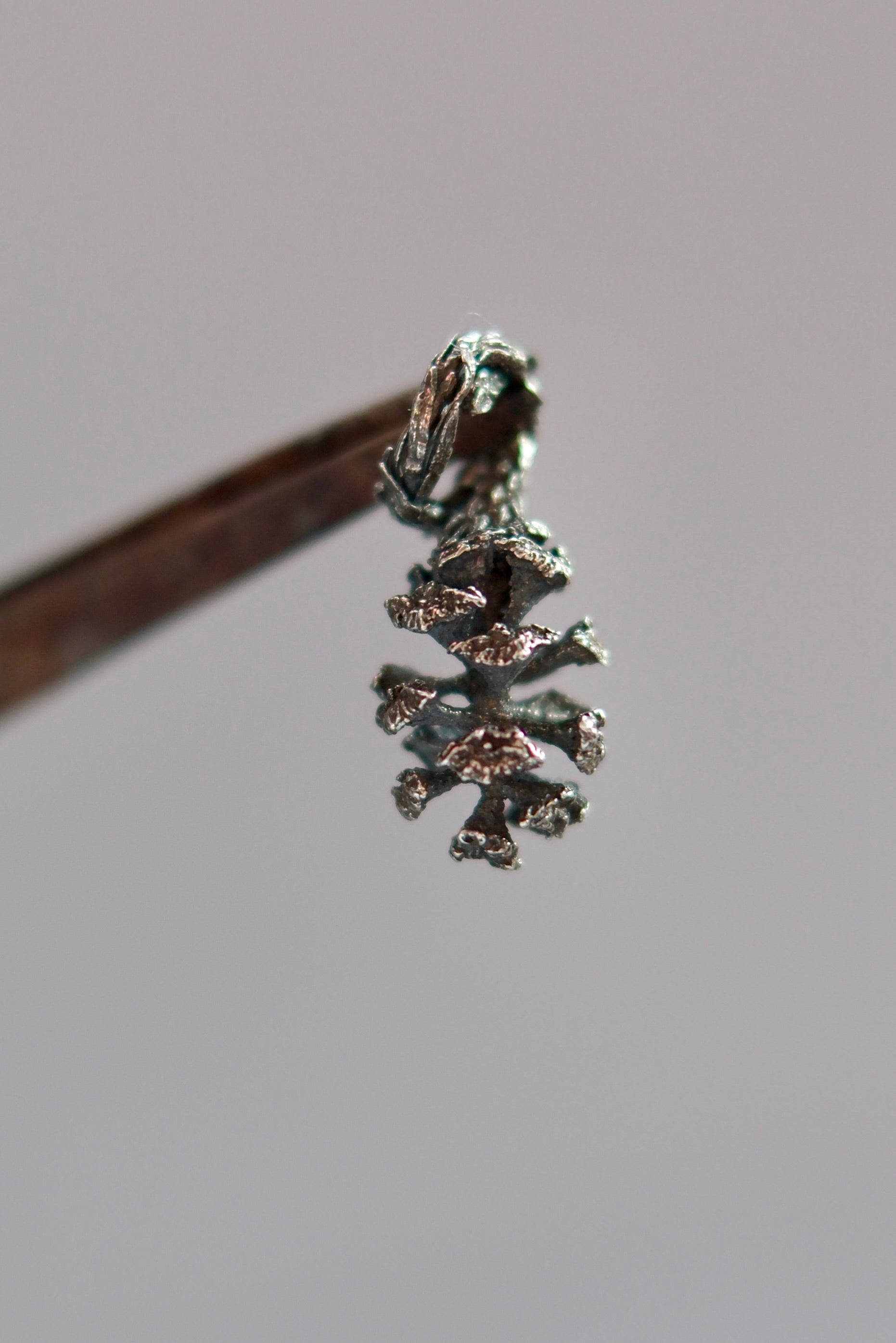 Pine Cone in Silver