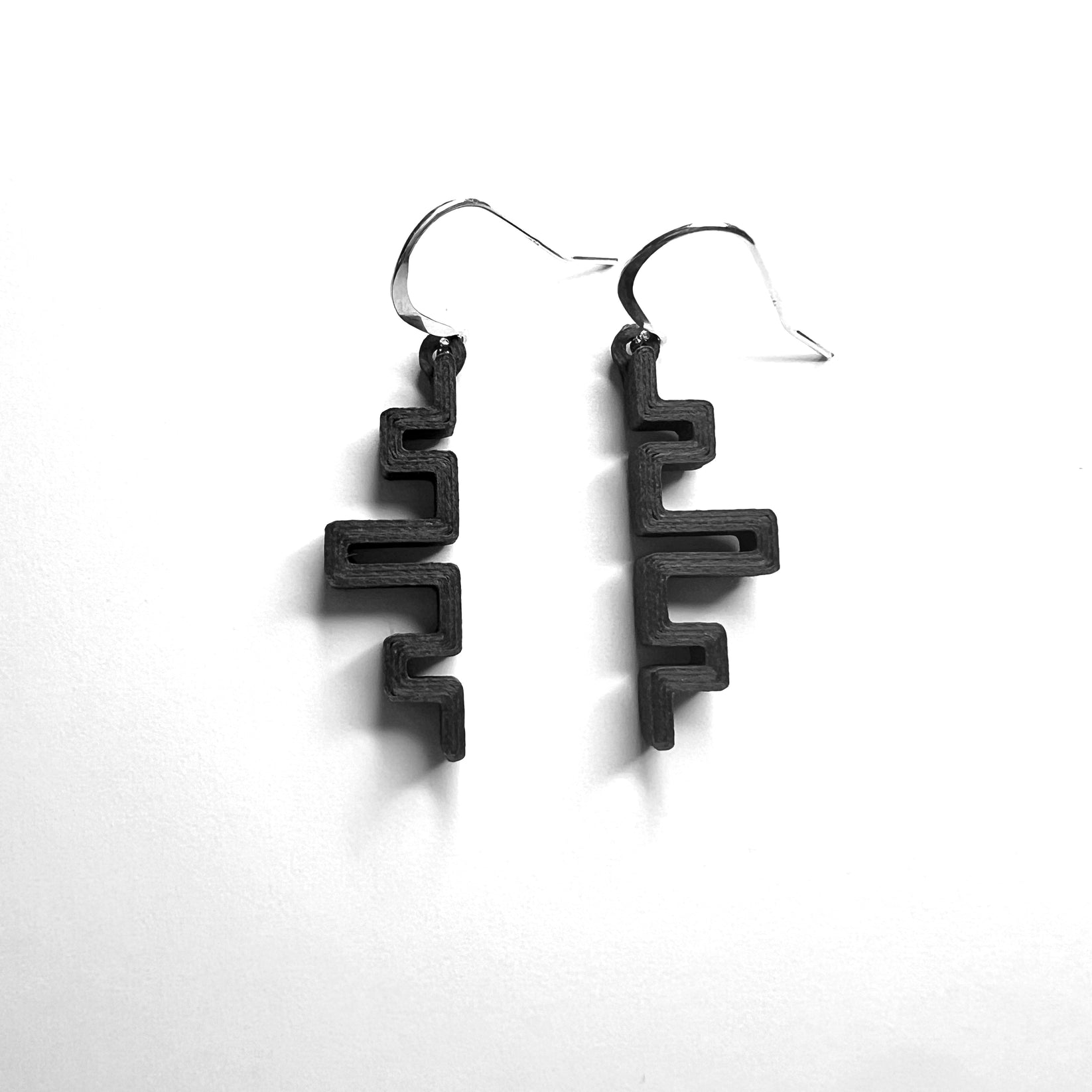 Code Shape Carbon Earrings - PRC
