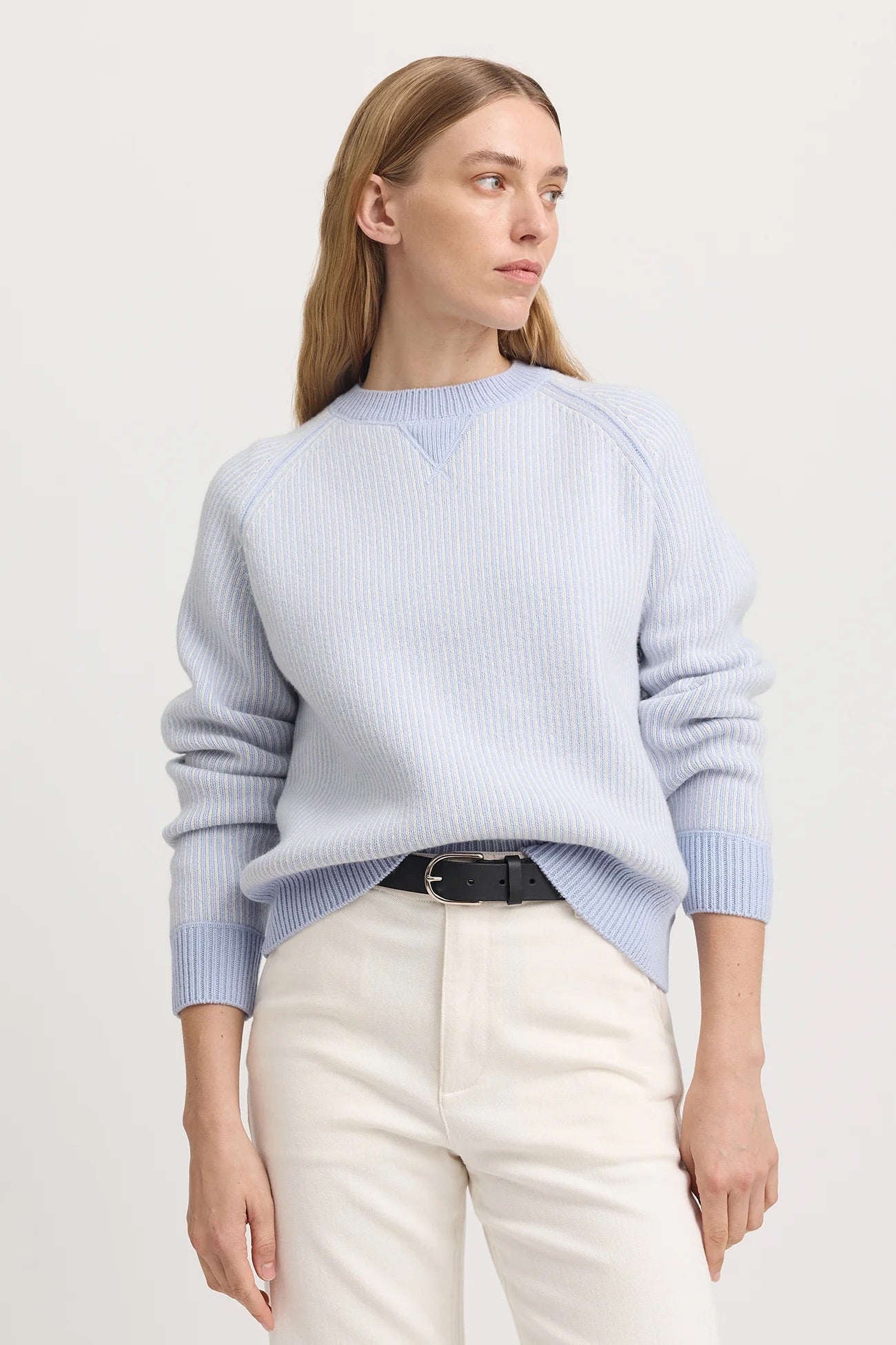 TRLE- Stripe Crew Neck Sweater