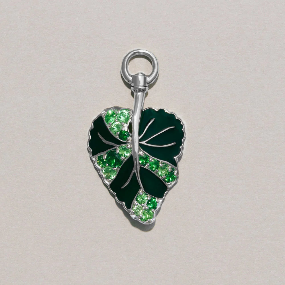The African Violet Charm