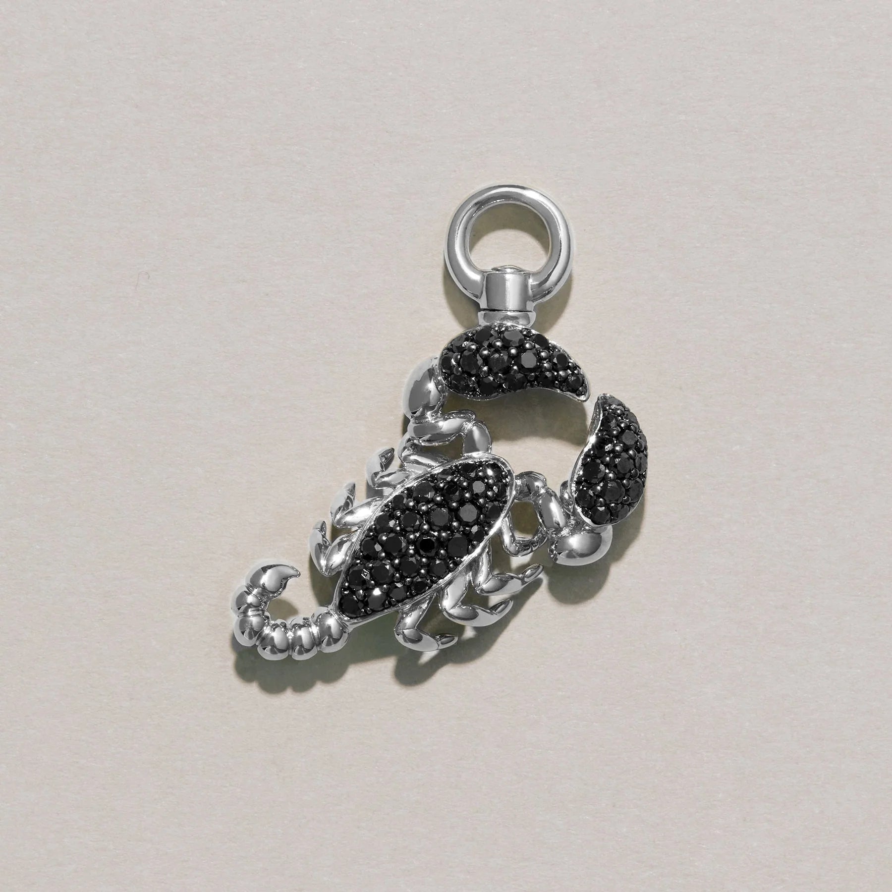 The Dancing Scorpion Charm