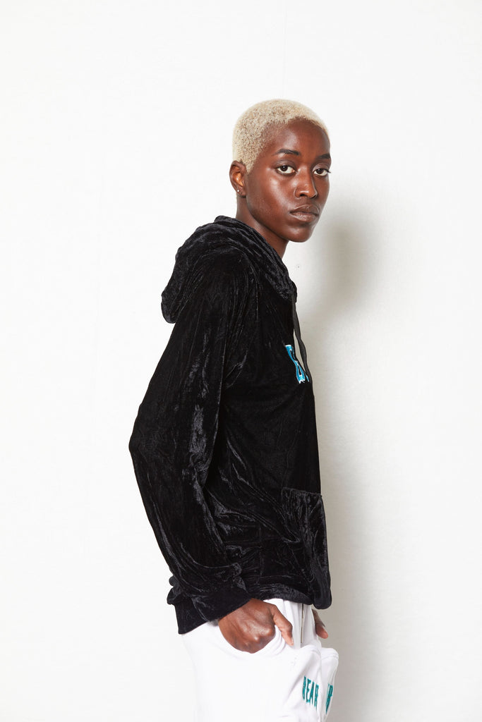 Velvet BT Hoodie-Bear Truth